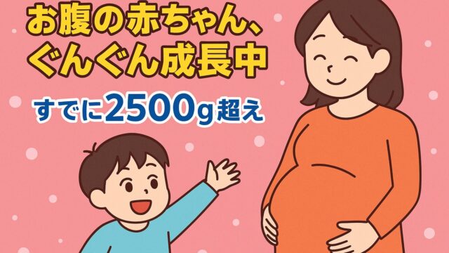 20250804_お腹の赤ちゃん、ぐんぐん成長中